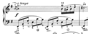 Chopin Nocturne in e minor